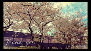 大人のための贅沢空間BRUSH&BRUSHPREMIER今週もありがとうございました630